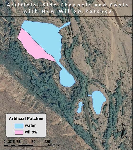 Simulation flycatcher Habitat Suitability Index Model to assess beetle impact and restoration Flycatcher HSI simulation model scenarios, Tonto Ck, AZ Year 0- baseline suitability Year 1- suitability