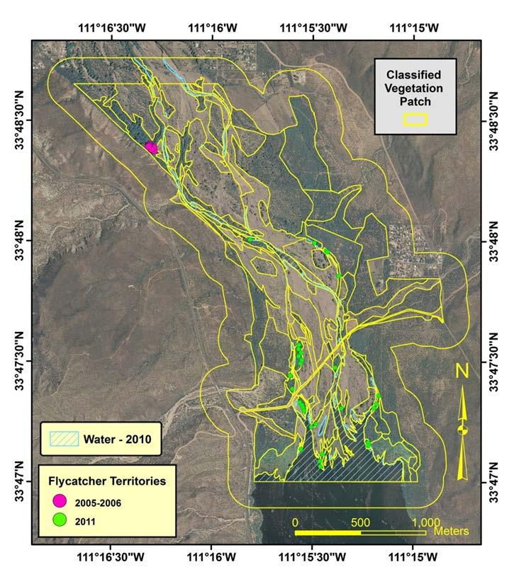 Refine flycatcher Habitat Suitability Index Model and apply at Tonto Creek A-Cross Site, AZ 30 flycatcher