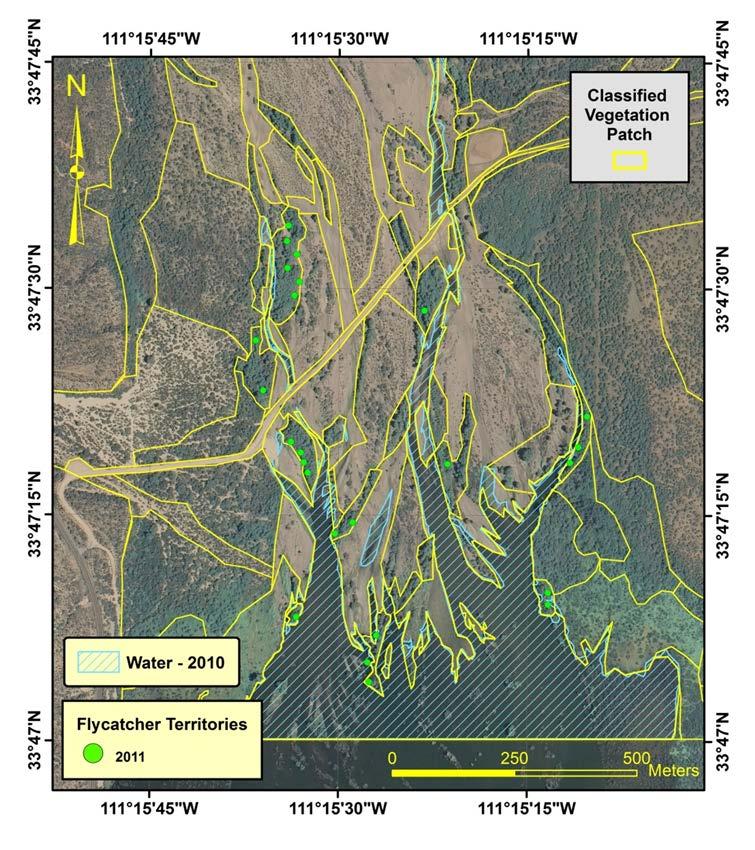 Refine flycatcher Habitat Suitability Index Model for Tonto Creek A-Cross Site, AZ Tamarisk dominates 13