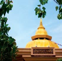 WAT MAI LUANG PU SUPHA Tambon Chalong, Mueang, Phuket 83110 TAT Phuket Office +66 7621 2213, +66 7621 1036 +66 7621 3582 www.tourismthailand.org/phuket tatphket@tat.or.th Daily 7am-5pm 7.853818 98.