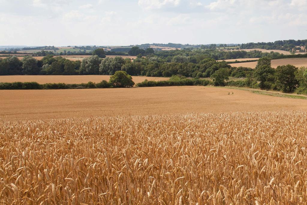 An accessible and productive block of rolling arable land, woodland and