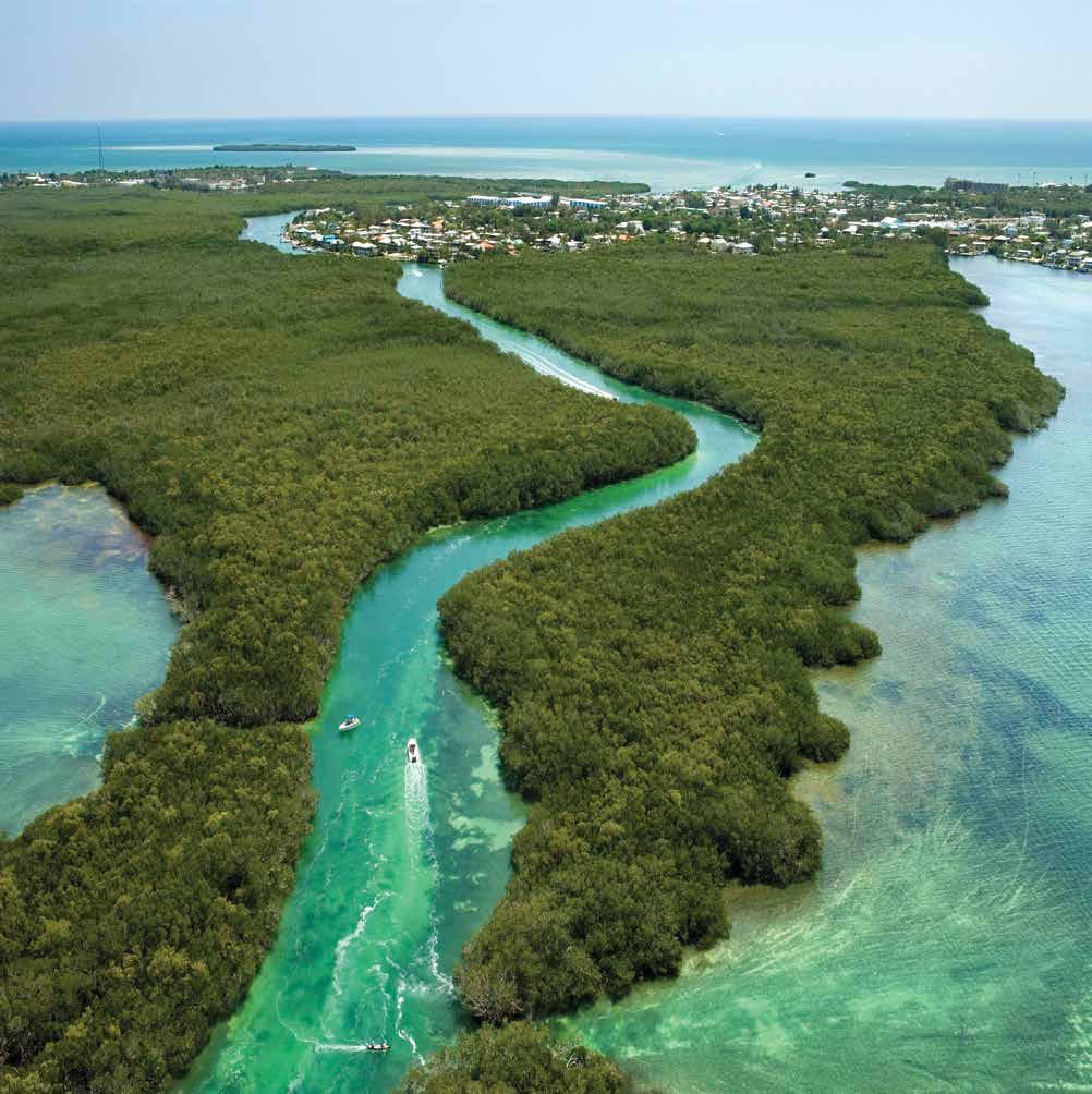 Your island paradise. Key Largo is 15 square miles of sundrenched, sparkling water, tropical paradise.