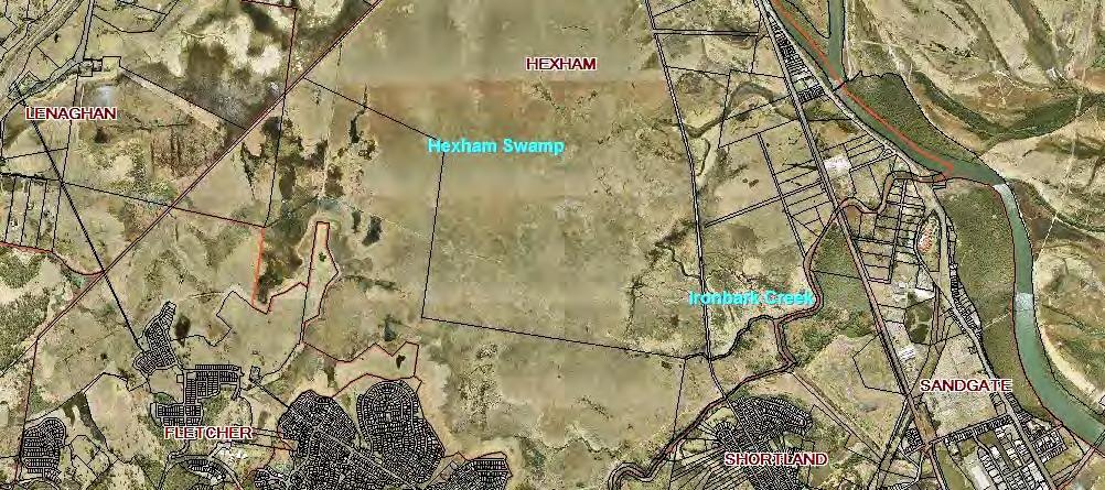 Description of feature, including location and extent: Hexham Swamp is a fresh water and estuarine wetland. A swamp about 5 km S by E of Beresfield and about 12 km NW of Newcastle.