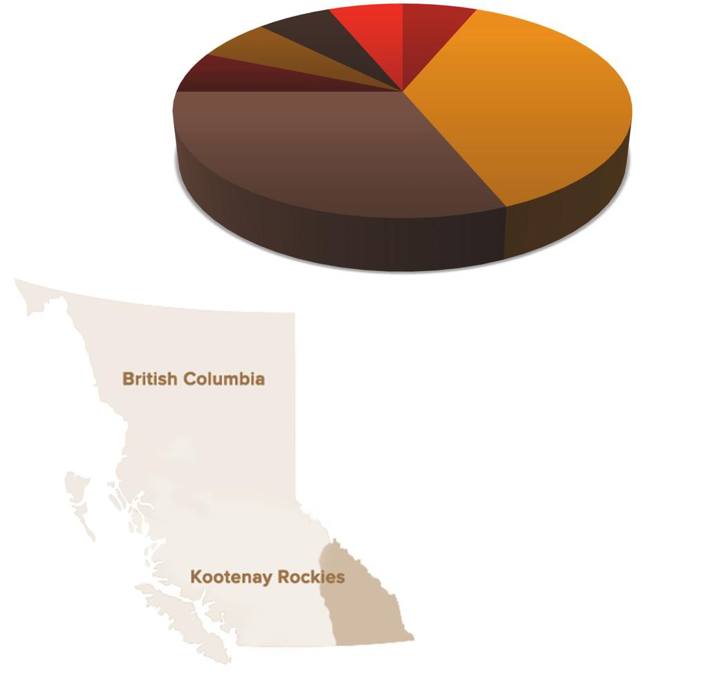 Kootenay Rockies Change in Businesses since last Fiscal 2017 2014 2013 2011 2003 Current Indigenous businesses operating 16 14 12 12 15 New Indigenous businesses 2 2 0 3 Continued operating 14 12 12