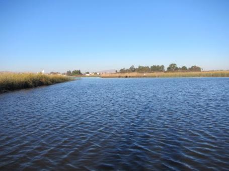 The marina is used by both motorized and non-motorized boaters. Suisun Channel and the sloughs surrounding it are popular for fishing, bird-watching, and pleasure boating.