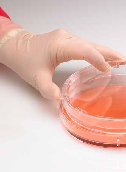 CytoOne Cell Culture 96-well 6-well CELL CULTURE PERFORMANCE WARE TM Multiple Well Plates Designed for optimum growth and secure handling, CytoOne plates are made from premium grade, virgin