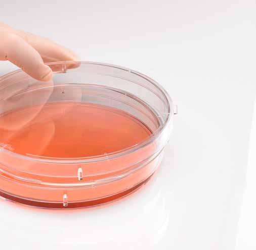 CytoOne Cell Culture Trust CytoOne for consistent surfaces with certified testing. Made from optically clear, premium grade polystyrene.