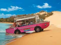 Enjoy the experience and thrill of riding in a Hummer while visiting the many highlights of Fraser Island including Lake Mackenzie, Eli Creek and the Maheno Shipwreck.