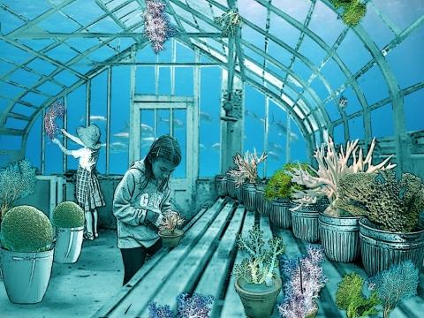 Concept Design: Live Coral nursery with cement figurative works.