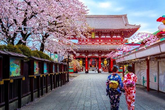 11 Day 16: Tokyo Start your last full day in Tokyo with a stroll in the vibrant Asakusa district and soak up the ambiance of Senso-ji, Tokyo s oldest Buddhist temple.