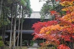 ward Okayama city, it is Bodai-ji temple (the family temple) of the Ikeda,