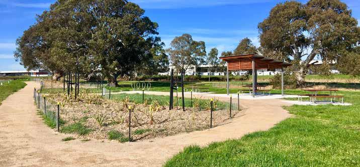 NEW AMENITY New open green space is now open along Innovation Park s southern boundary.