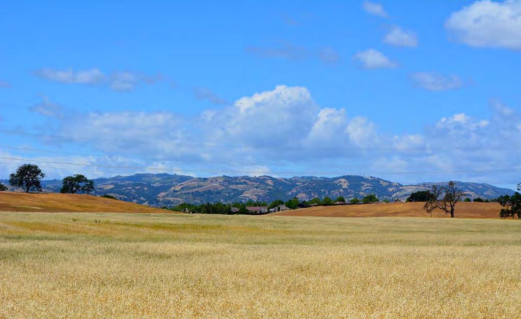 THE OLSEN RANCH Paso Robles, California 600+ UNIT PLANNED