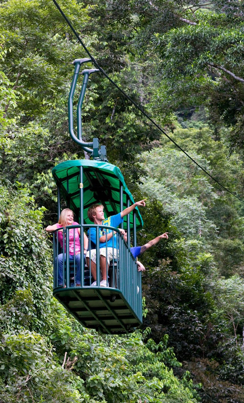 The Authentic Rainforest Experience Aerial Tram or Zip Lines, Hike & Jungle Safari Boat Drive to Sarapiqui area through the extraordinary rainforest of Braulio Carrillo National Park.