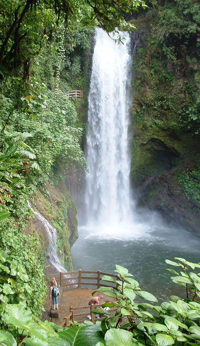 La Paz Waterfall Gardens Half Day You will never feel more part of the splendor of the rainforest, than hiking the trails alongside the river and cascading waterfalls.
