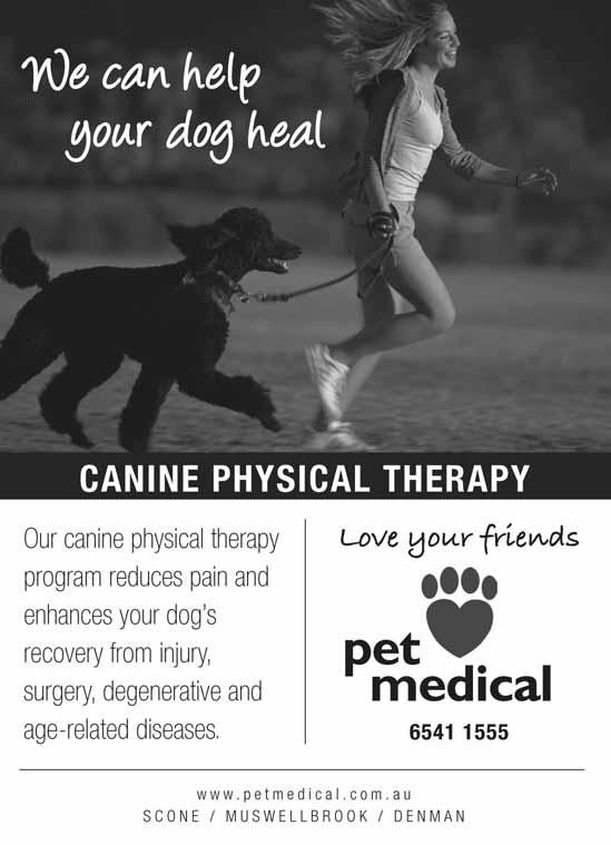 If you are interested in organising physiotherapy for your companion animal talk to the friendly team at Pet Medical. Image: [top right] Dr Peta Gay Railton, Pet Medical.... Footy Draw 2016.