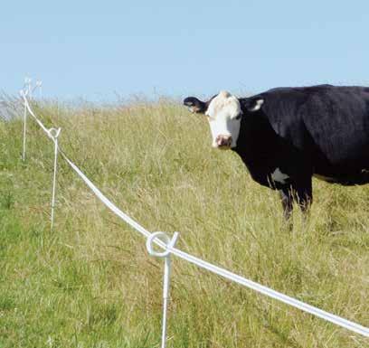 For most cattle one strand of tape (or rope) is enough for a subdivision fence. Set conductor height at mid-chest level of the cattle.