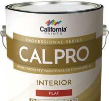 emulsion that provides the painted surface with longlasting protection.