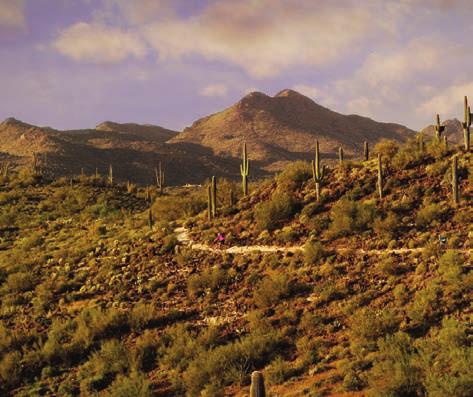 Sonoran Dsrt, and