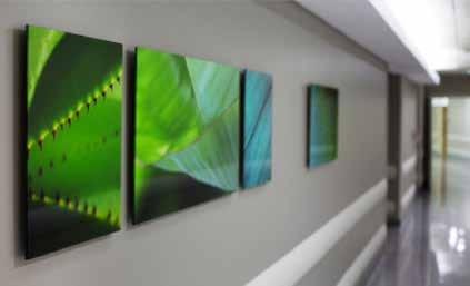 of equipment it operates. BRIEF Celebrating the heritage and culture of the region, City Hospital public areas and consultation rooms required high quality artwork to complement the interior décor.