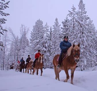 HORSE RIDING PROGRAMS Multiple horse riding programs with Finn horses, including