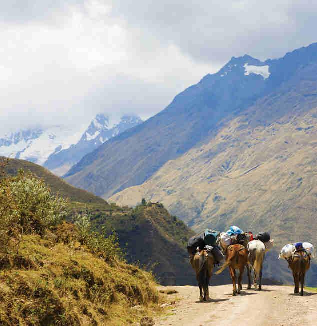 We recommend tipping the following: Guides: US$15 25 per person, for the duration of the trek Porters: US$10 20 per person, for the duration of the