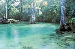Area Attractions: Ponce De Leon Spring State Park Nature trails are also available at the Ponce De Leon Springs State Park, located in Ponce De Leon just off Interstate 10.