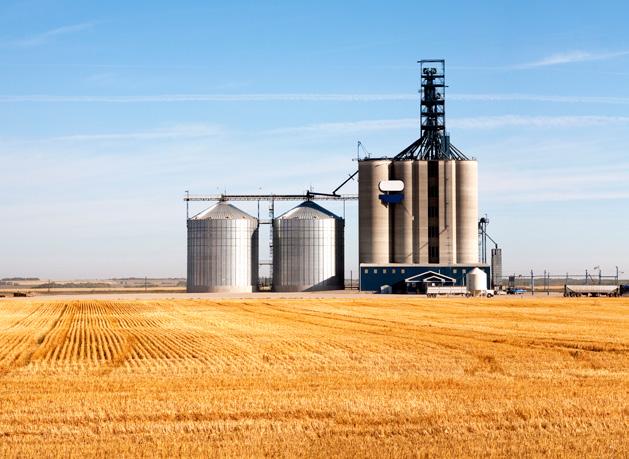 requirements relating to chemical regulations and developments in grain storage and