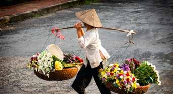 Hanoi Explorer 5 days/4 nights Hanoi has much to explore - from the traditional commercial bustle of the Old Quarter, the local markets and chaotic traffic - to the quiet lakes, historic temples,