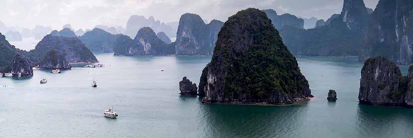 Insider Journeys Small Group Tours TASTE OF VIETNAM 7 DAY SMALL GROUP JOURNEY + FLIGHTS FROM $3,199* SAIGON CH CHI TUNNELS - MEKONG DELTA HOI AN HALONG BAY HANOI An ideal introduction for those short