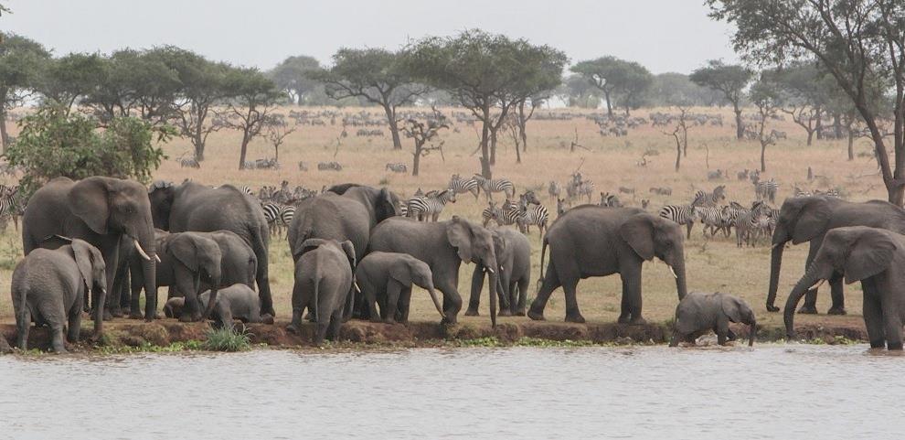 There s a party at Sasakwa Dam And you re invited! (Photo by Alf Ngwarai) July comes in the middle of the dry season.