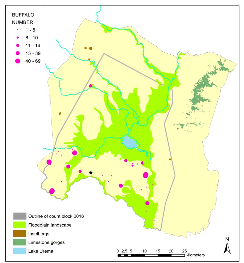 Fig. 6: Spatial distribution of elephant during the 2016 aerial wildlife count.