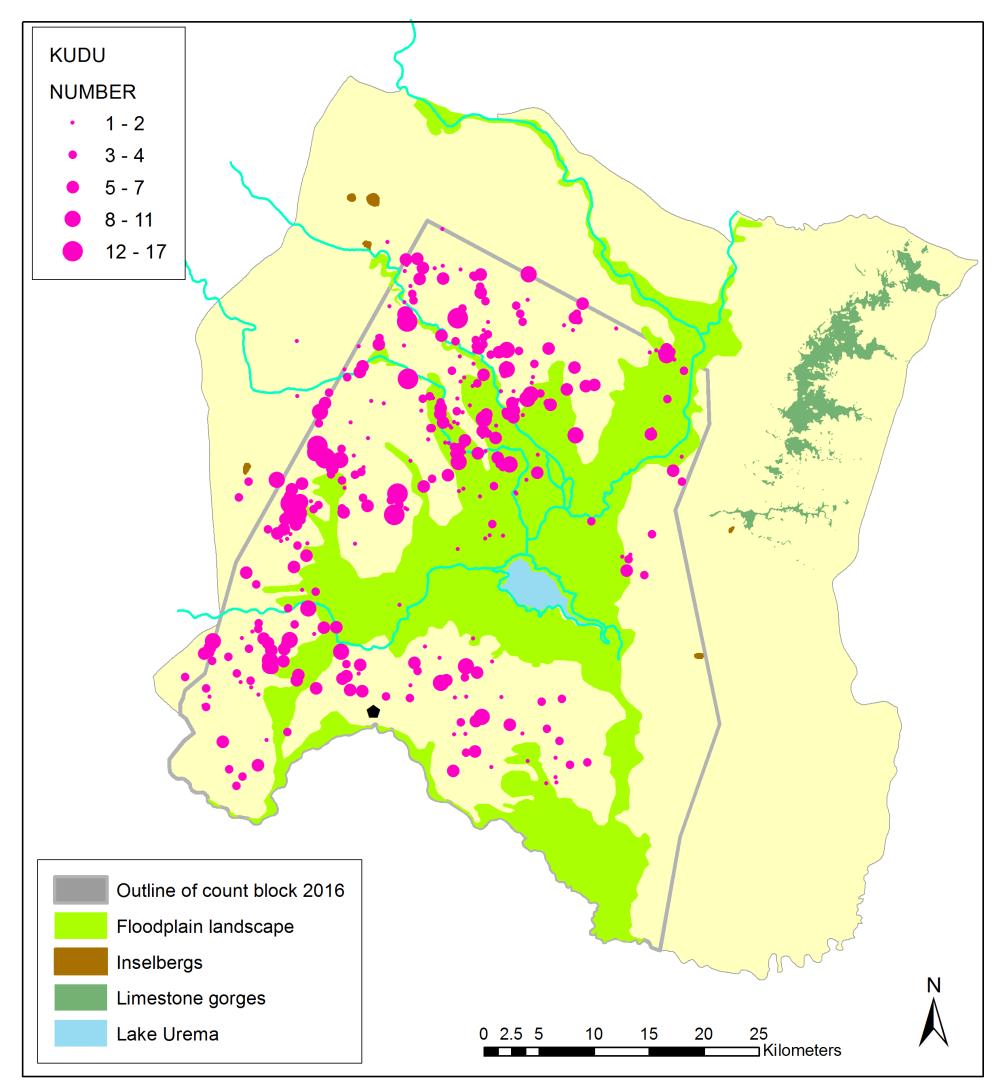 Fig. 9: Spatial distribution of Lichtenstein hartebeest during the 2016 aerial