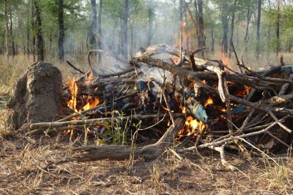 Only one group of poachers was seen as against two groups observed in 2014. The poachers fled and left behind two bundles of smoked bushmeat.