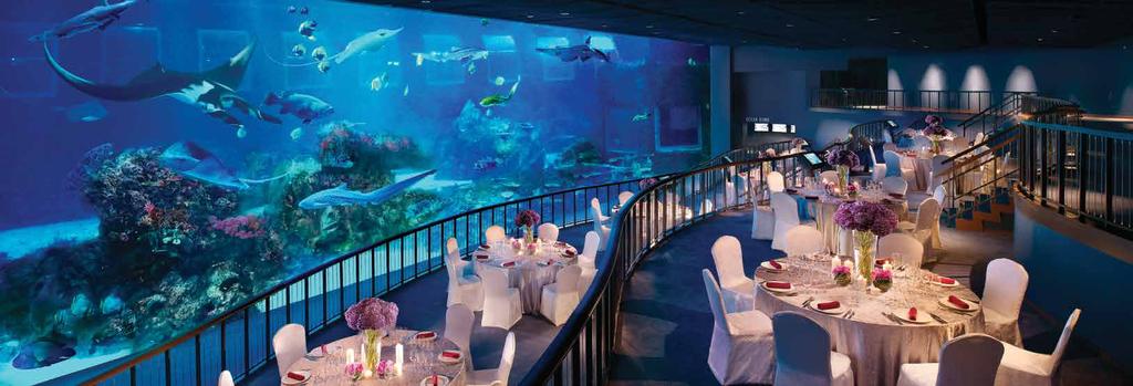 S.E.A. AQUARIUM AND ADVENTURE COVE WATERPARK Dive into two world-class attractions that promise an exclusive insight into the aquatic world, and provide the perfect inspiration for your next event.