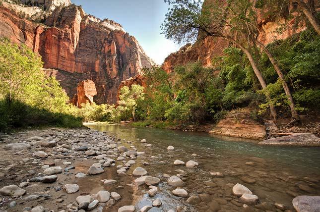 The red Navajo sandstone being swept down to the Colorado River has been dissolved by winter rains and a melting snowpack, still visible on the peaks above Zion Canyon.