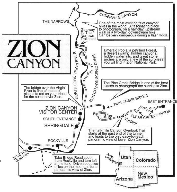 issue 12 - page 3 A few orchids grow in Zion. The helleborine is a large, purple-brown orchid that blooms in the swampy wet areas along the Gateway to the Narrows Trail.