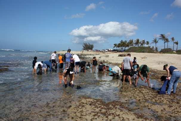 Programs of the Hoakalei Cultural Foundation (Hoakalei CF) extend beyond the preservation areas and research/outreach programs, to the shoreline where several endemic Hawaiian plants and cultural