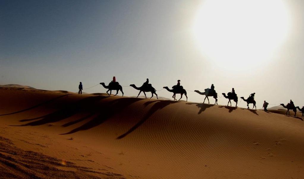 Deserts Sahara Extreme temperatures Sand,