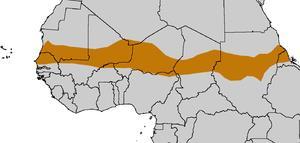 18.3 HUMAN ENVIRONMENT INTERACTION The Sahel The Sahel stretches