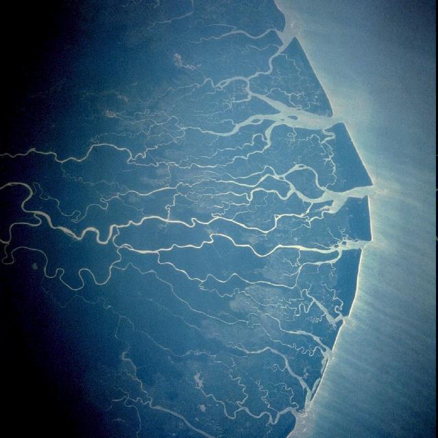 Niger River Delta This near-vertical photograph shows the fan-shaped Niger River Delta, the largest delta in Africa, which covers 14 000 square miles In