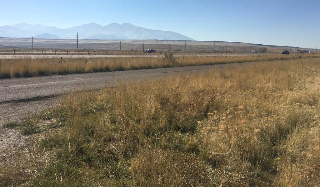 PROPERTY OVERVIEW ROADWAYS & TRANSIT Proximity to I-80, I-215, heavy rail lines, I-15, and SLC International Airport makes this the best connected location in the state for manufacturing and