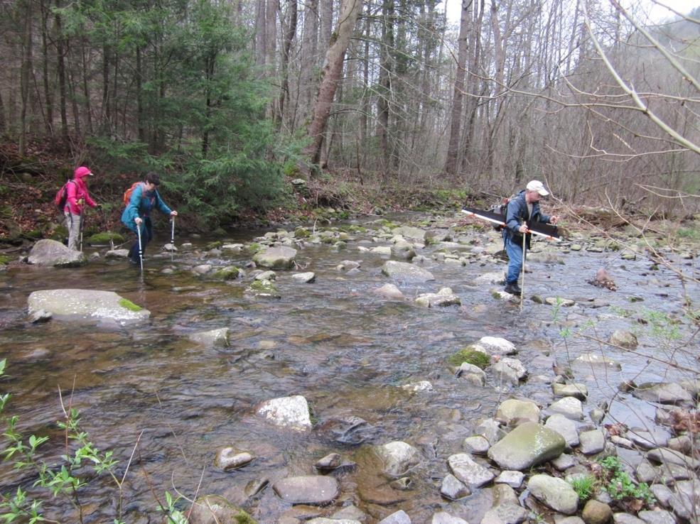 national forest and the many wild, undisturbed streams on the Blue Ridge Mountains and Shenandoah Mountain.