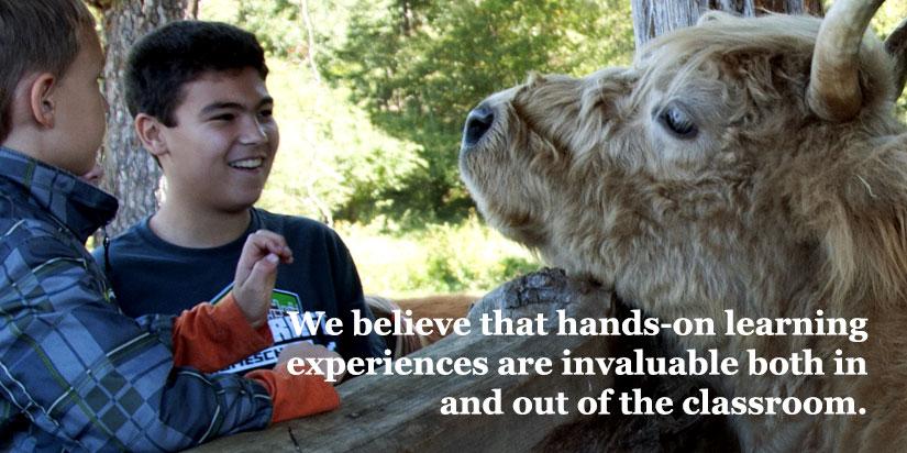 We believe that field trips are a vital part of the educational experience for students, and that a good field trip will have a lasting impact beyond just that day.