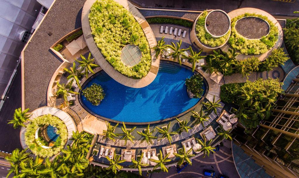 SWIMMING POOL Outdoor swimming pool surrounded with lush greenery,