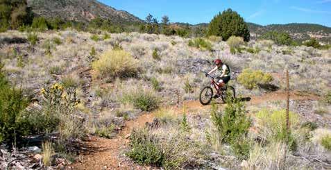 Section 13 is all singletrack that runs through juniper and piñons at the base of the Wet Mountains. LAMBA Chops takes riders through more open terrain.