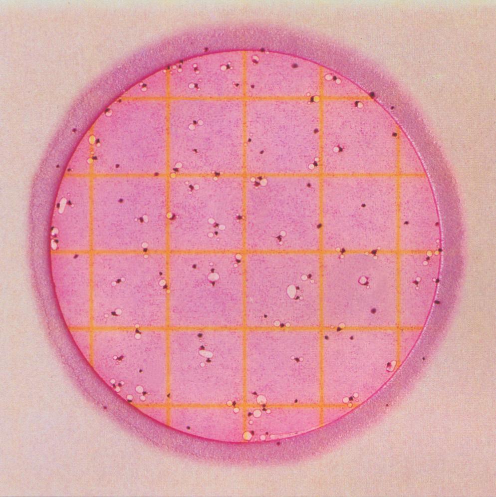 On Petrifilm Coliform Count plates, these acid-producing coliforms are indicated by red colonies with or without gas (see circle ).