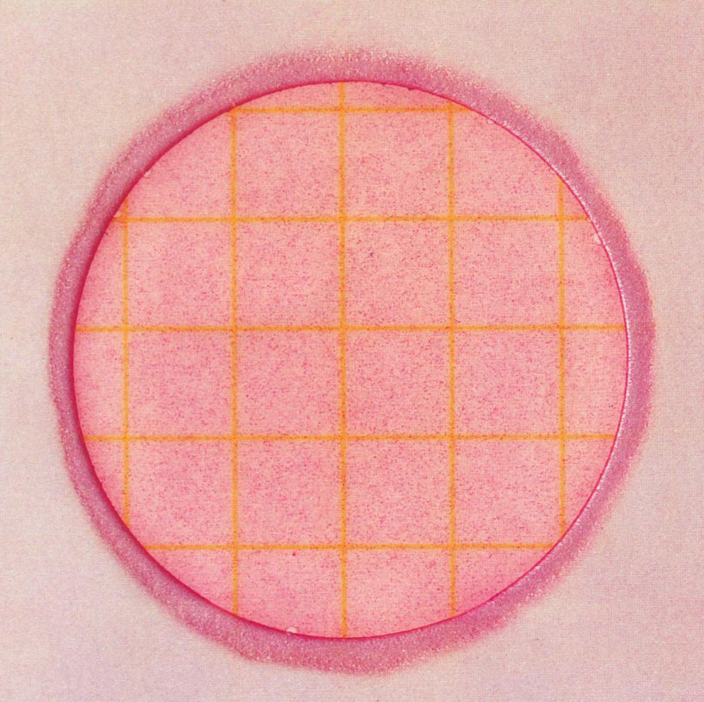 3M Petrifilm Coliform Count Plates As the coliform count increases, the gel colour deepens, as shown in figures 2 through 6. 2. 3.
