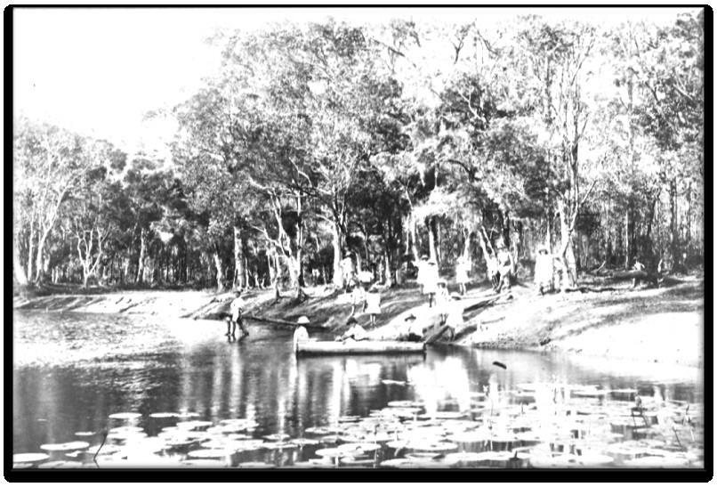 The Lagoons; and Bamboo The 'Avondale' land between Seventeen Mile Rocks Road and Oldfield Rd contained large lagoons.