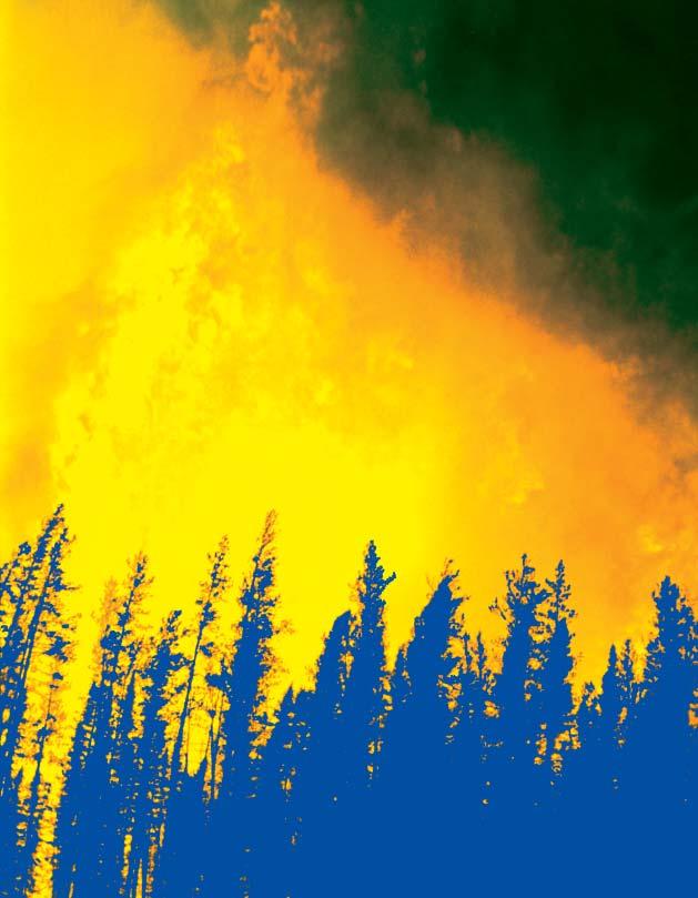 A Publication of the National Wildfire Coordinating Group